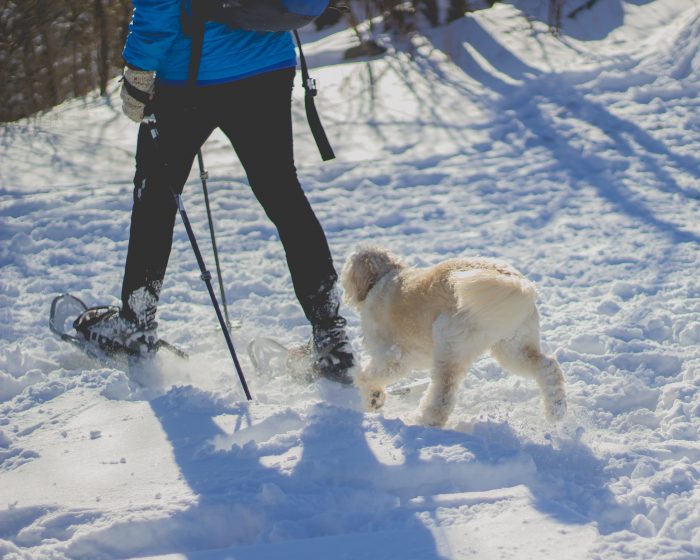 A man walking with a dog in the snow