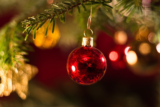 A red bauble hanging from a Christmas tree