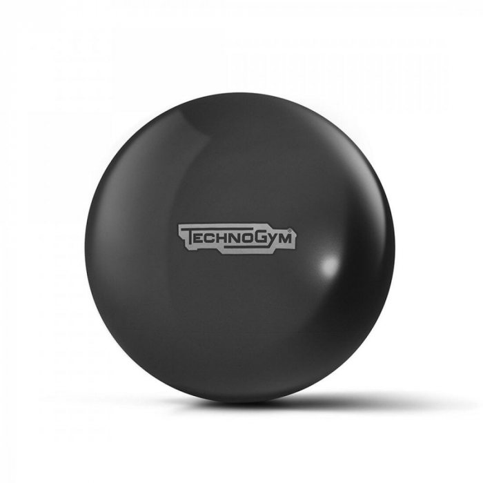 Technogym Fitness Ball 