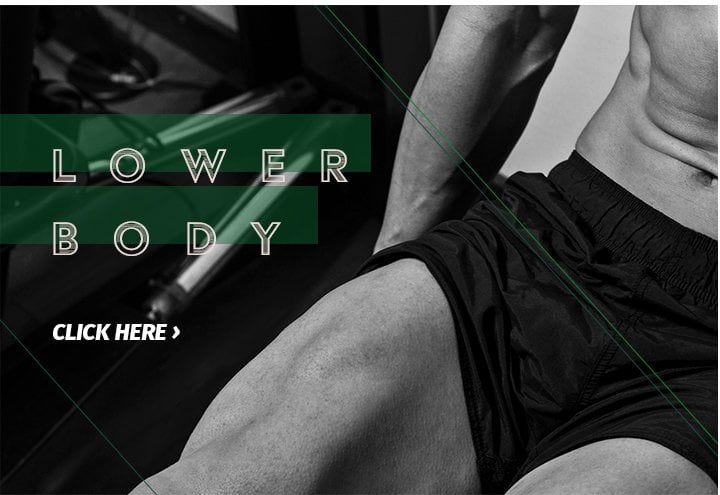 Lower Body Workout