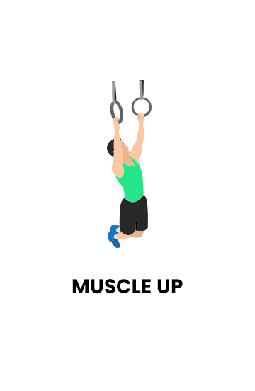 Muscle Up