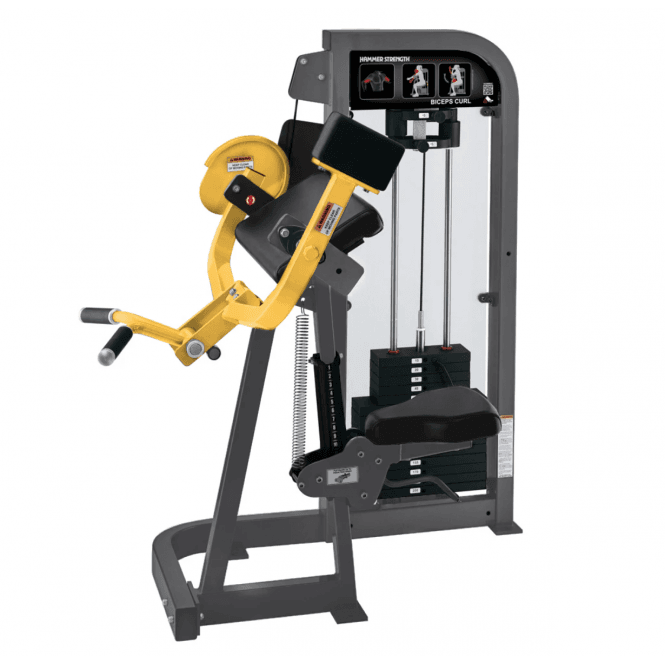 Hammer Strength Select Biceps Curl