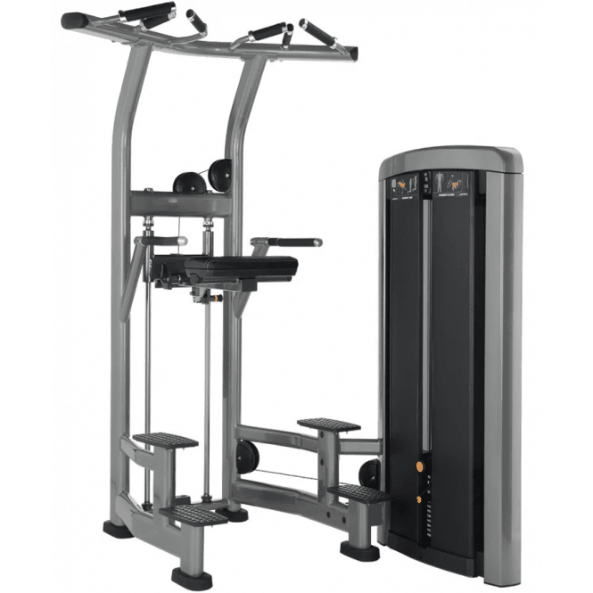 Life Fitness Insignia Series Assied Dip/Chin