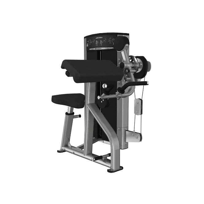 Life Fitness Axiom Series Dual Bicep / Tricep