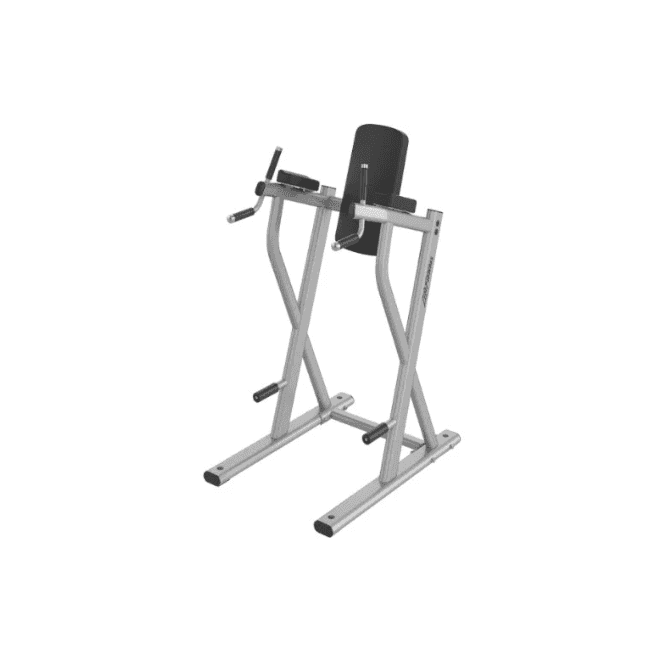 Life Fitness Axiom Series Dip/Leg Raise