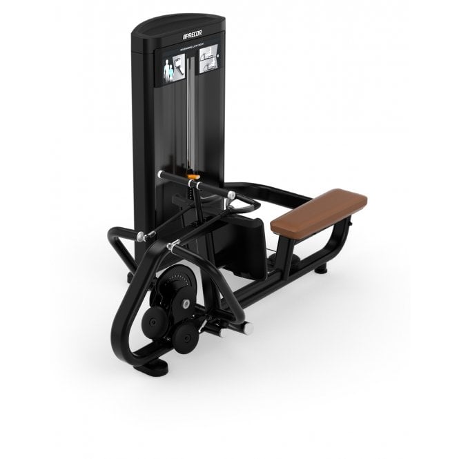 Precor Resolute Series Selectorised Diverging Low Row
