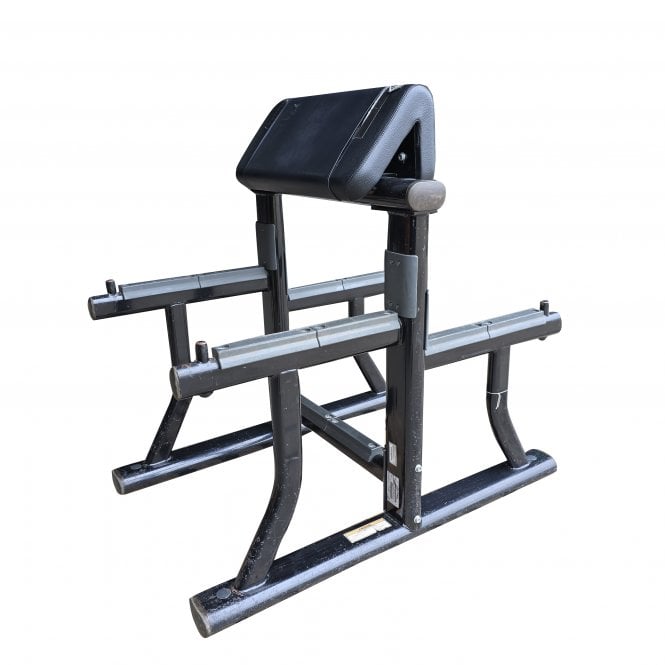 Life Fitness   Signature Series Arm Curl Bench in Black