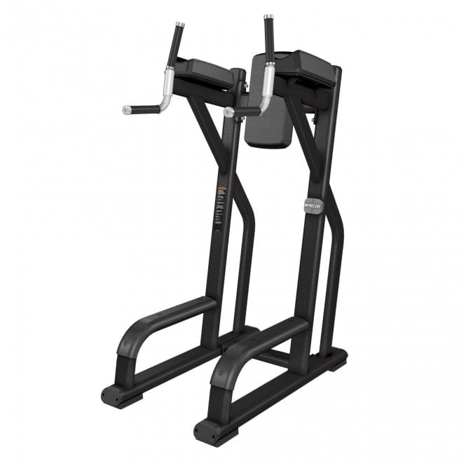 Precor Discovery Series Vertical Knee-Up Dip 