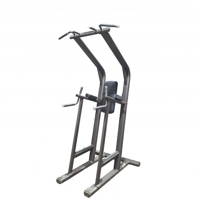 Life Fitness Signature Series Chin / Dip Leg Raise