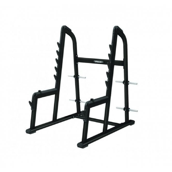 Precor Discovery Series Olympic Squat Rack