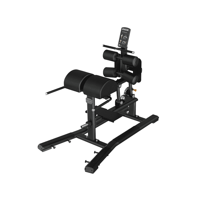 Precor Discovery Series GHD Bench