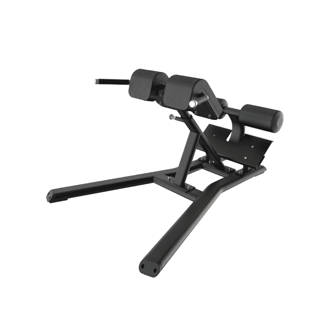 Precor Vitality Series Back Extension