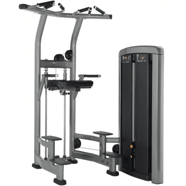 Insignia Series Assied Dip/Chin