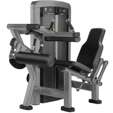 Insignia Series Seated Leg Curl