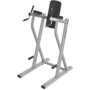 Axiom Series Dip/Leg Raise