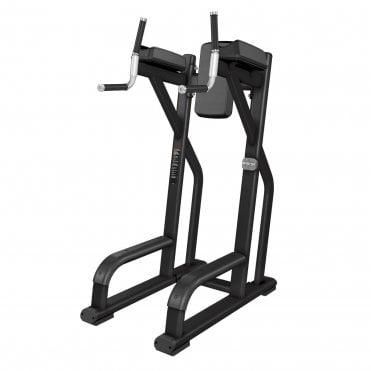 Discovery Series Vertical Knee-Up Dip 