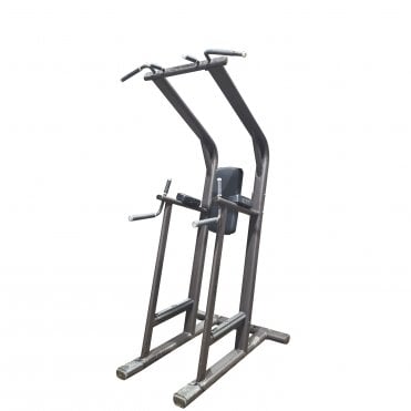 Signature Series Chin / Dip Leg Raise